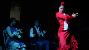 Spectacle de Flamenco Séville